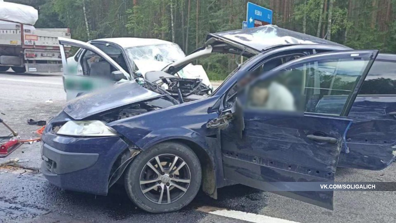 Вина доказана