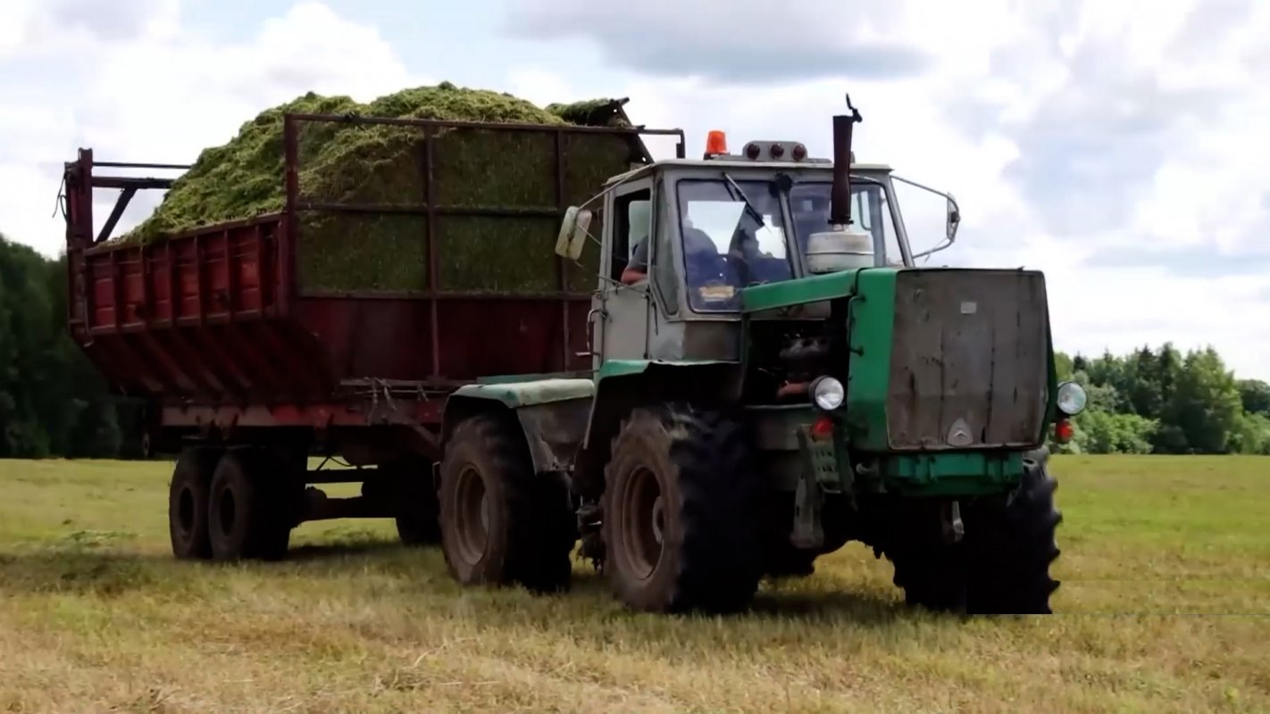 Помощь государства