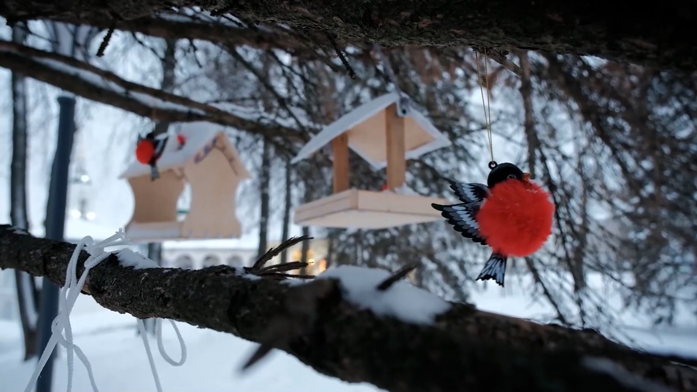 Помощь пернатым