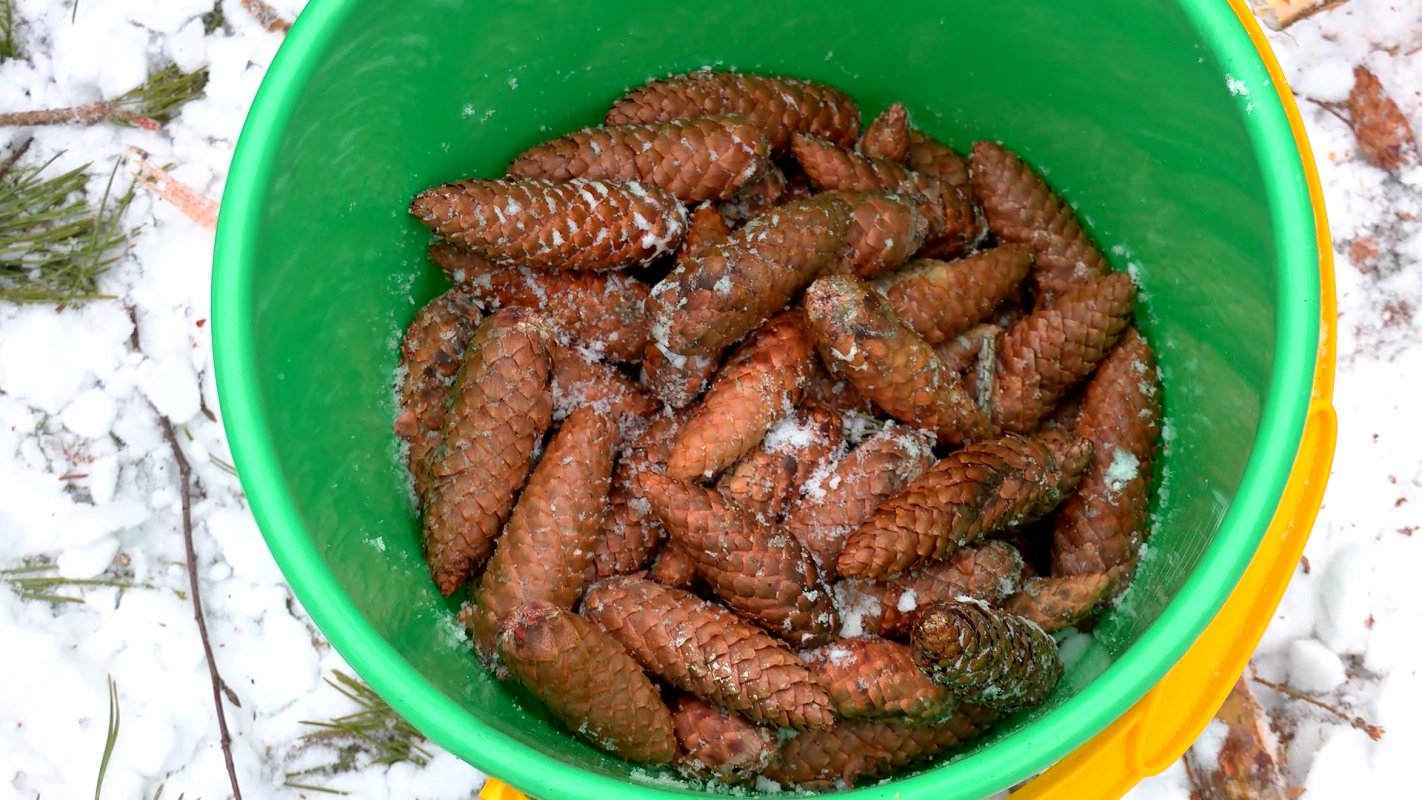 Половина от плана