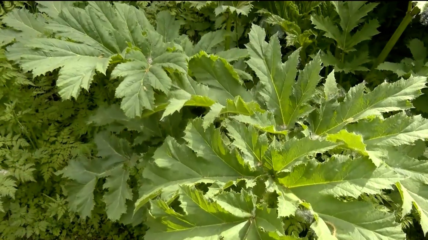 Первая в стране