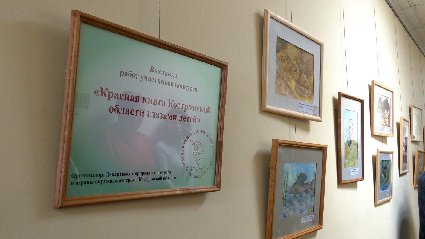 Лучшими признаны 27 работ