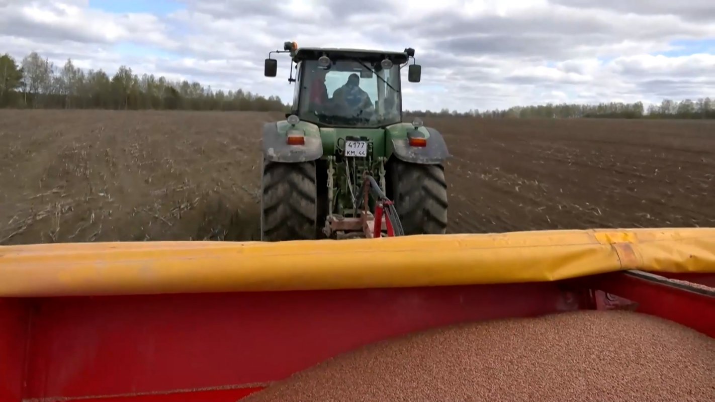 Больше, чем в прошлом году