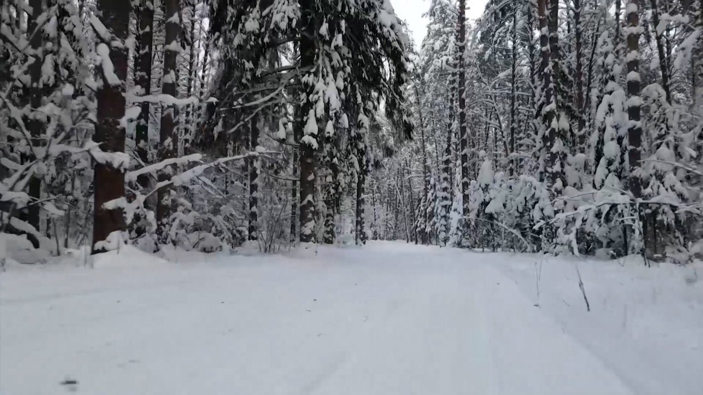 Отчёт об охотничьих трофеях