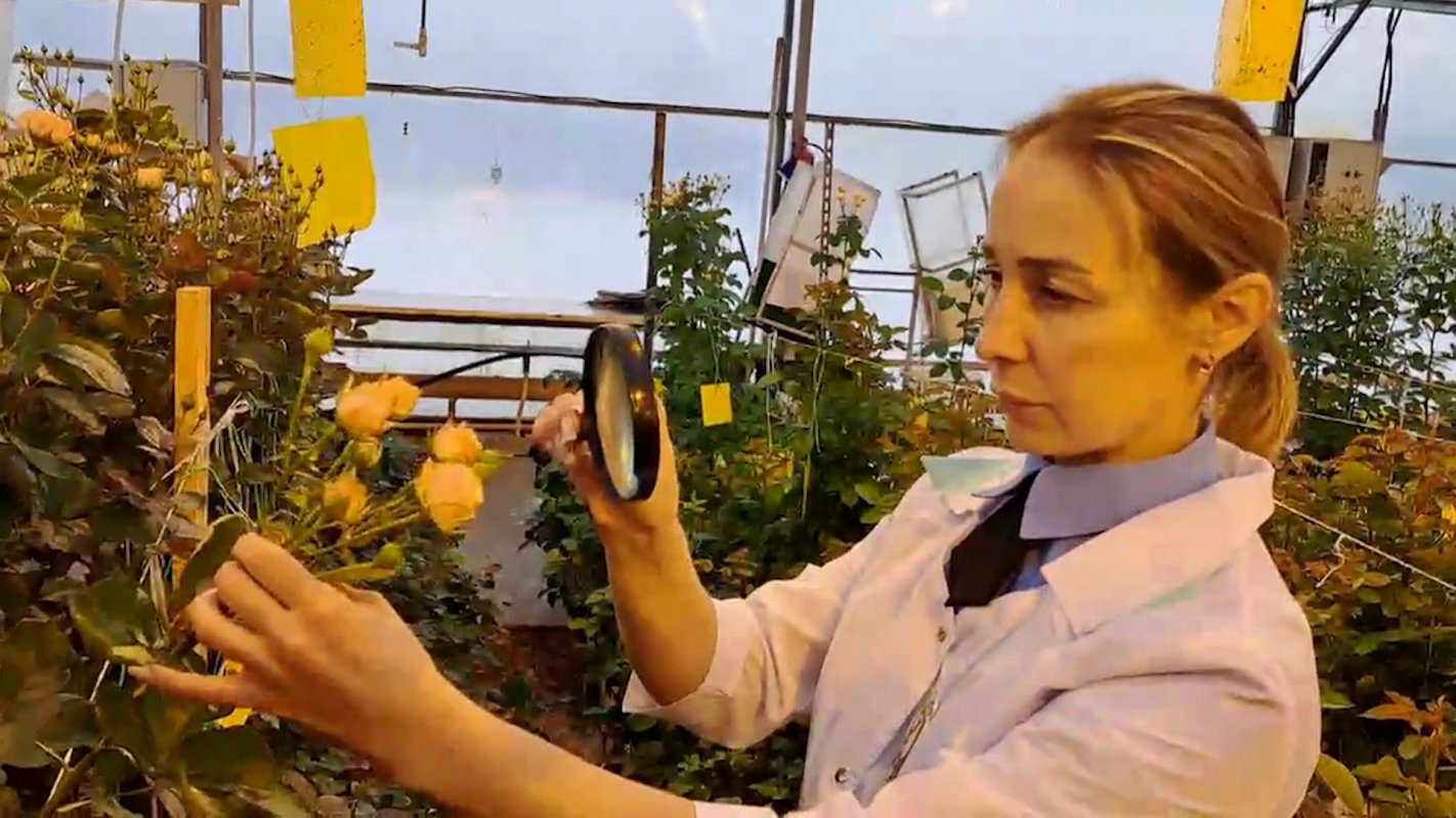 Красота и безопасность