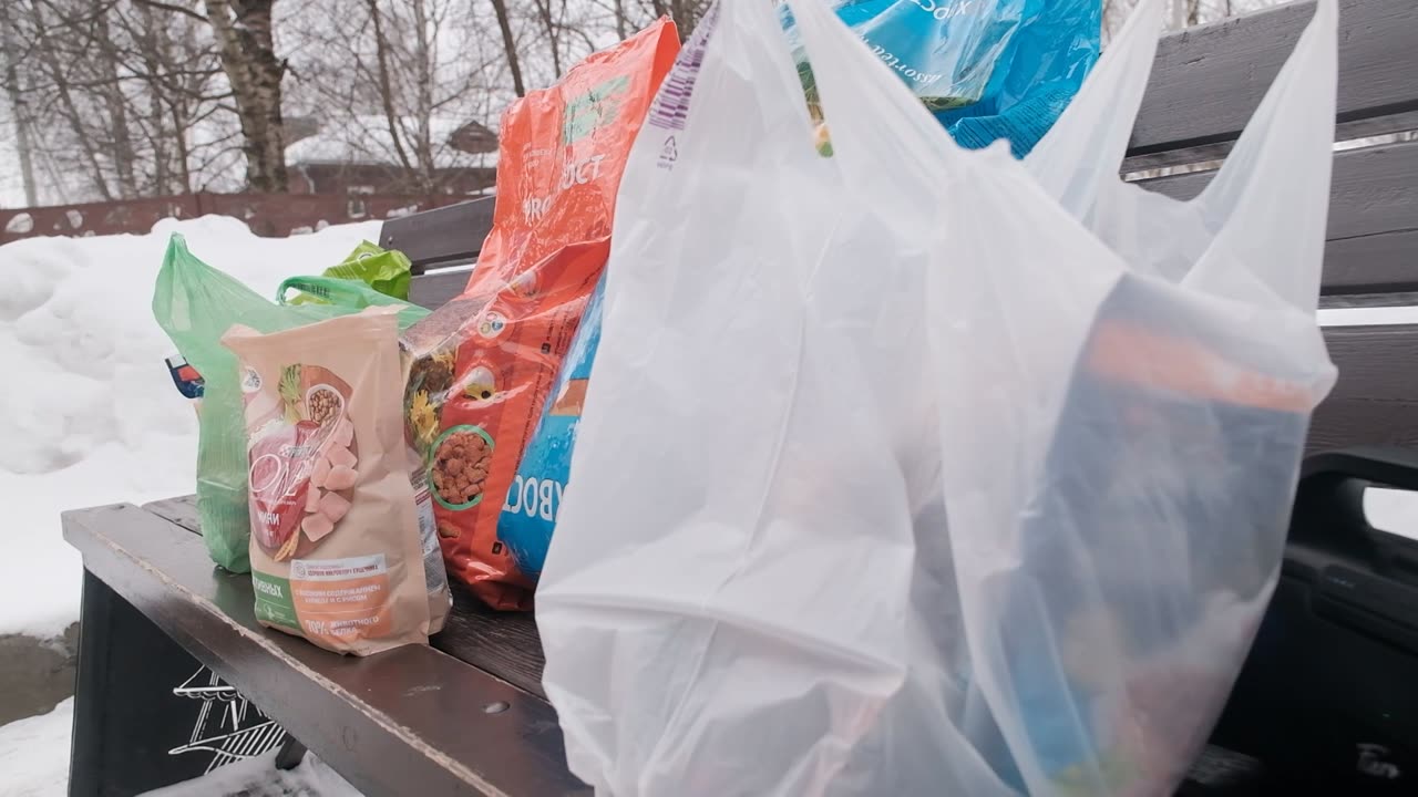 &laquo;Накорми друга&raquo;