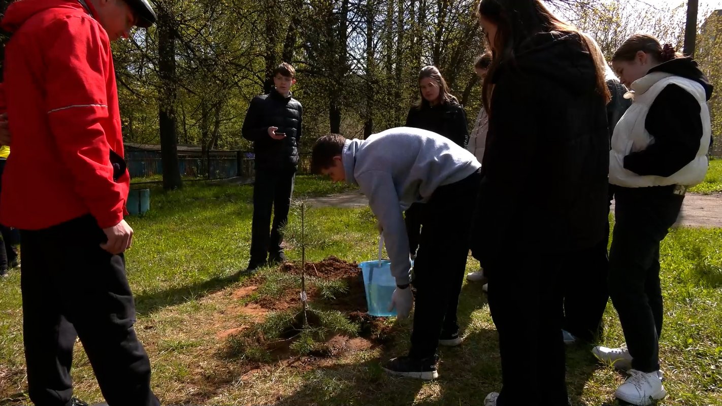В Костроме составлен план озеленения городских территорий