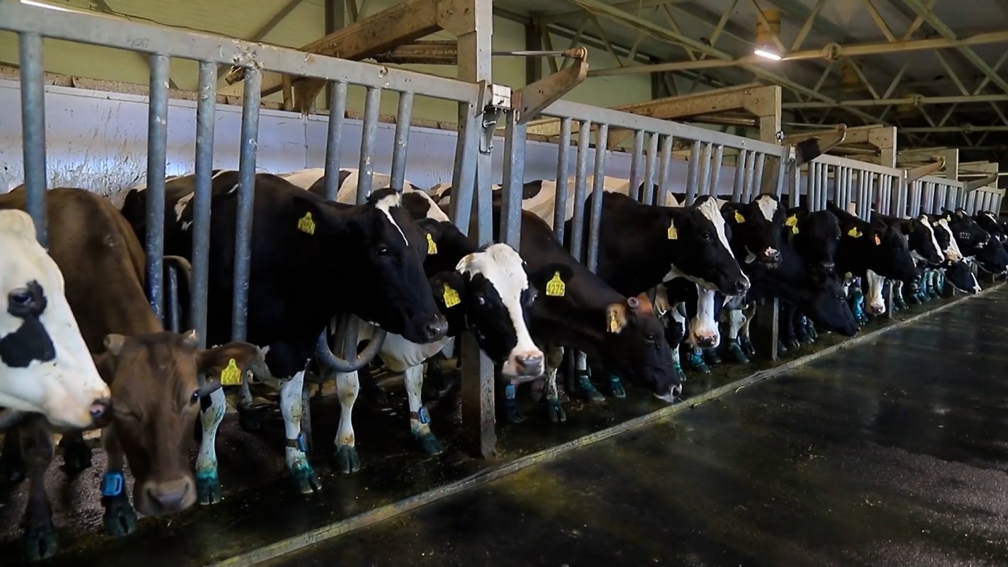 Для поддержания высоких стандартов животноводства