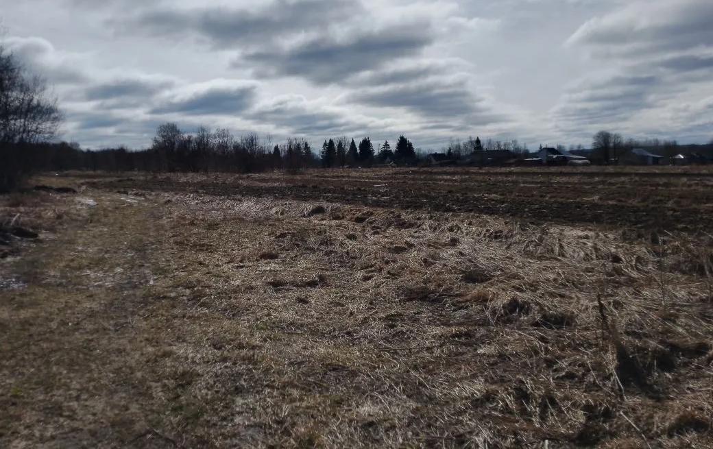 Возле с. Гнездниково Солигаличского муниципального округа обнаружены обломки БПЛА. Росгвардии выехала на место для осмотра объекта