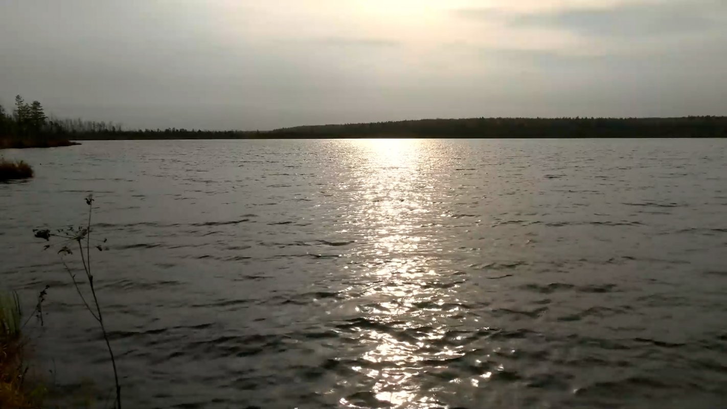 На время нереста