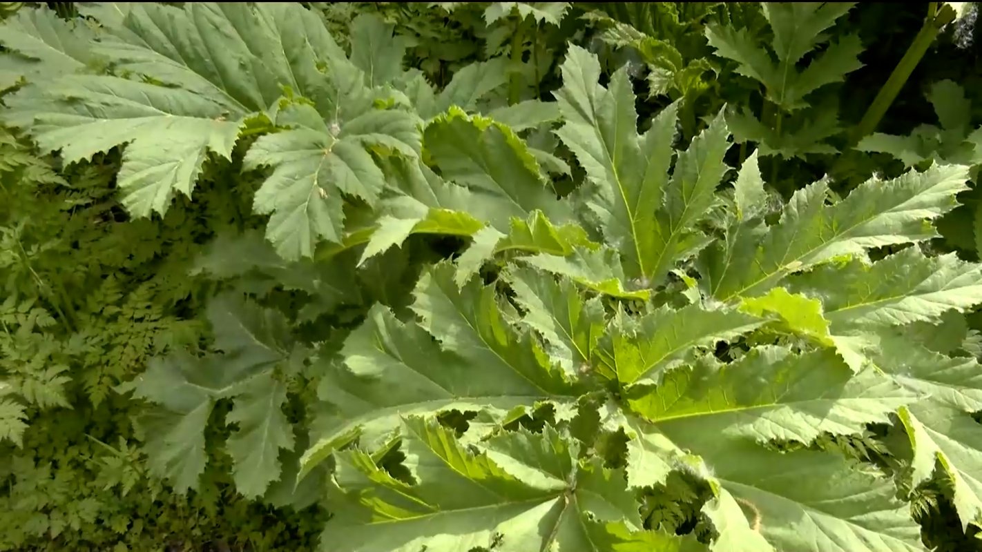 Общая задача