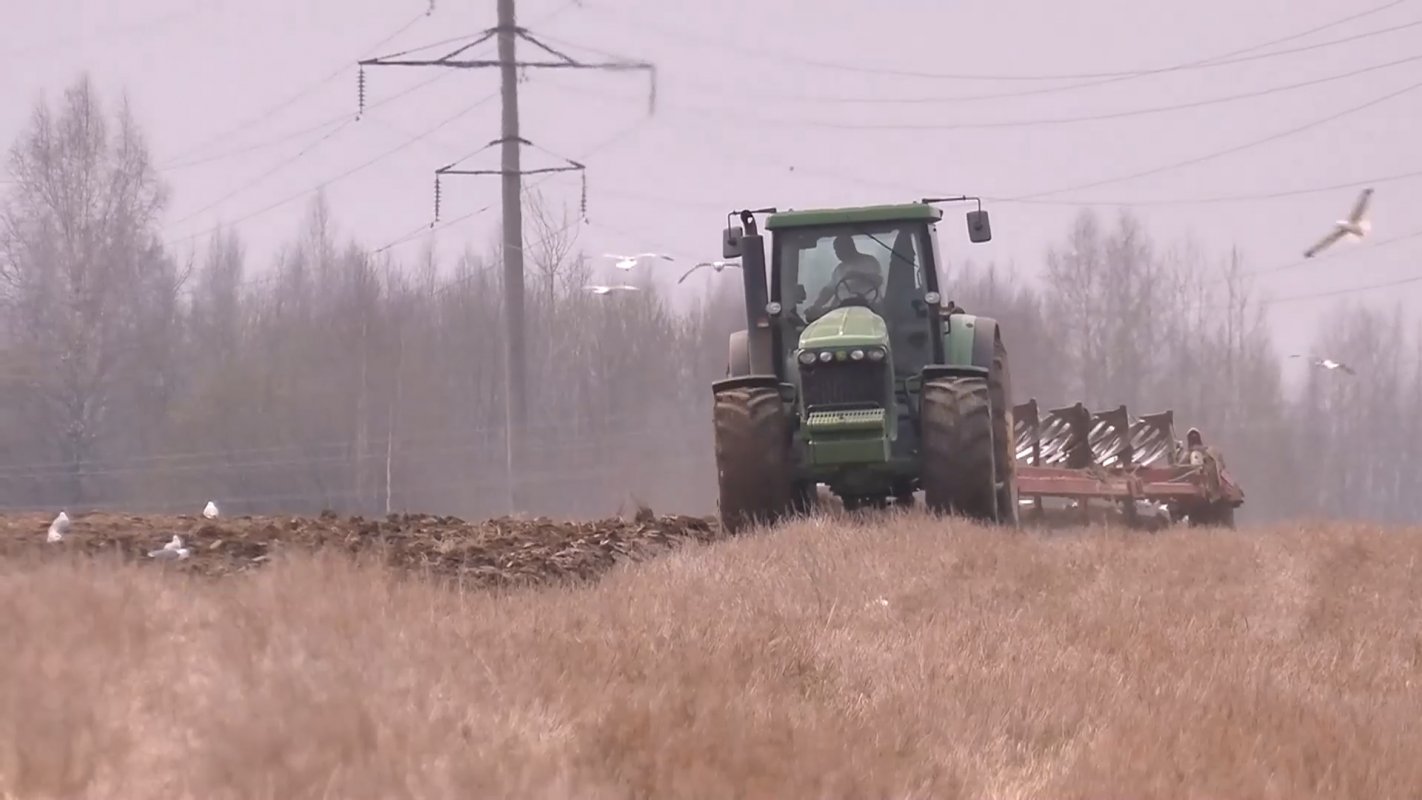 На неделю раньше срока