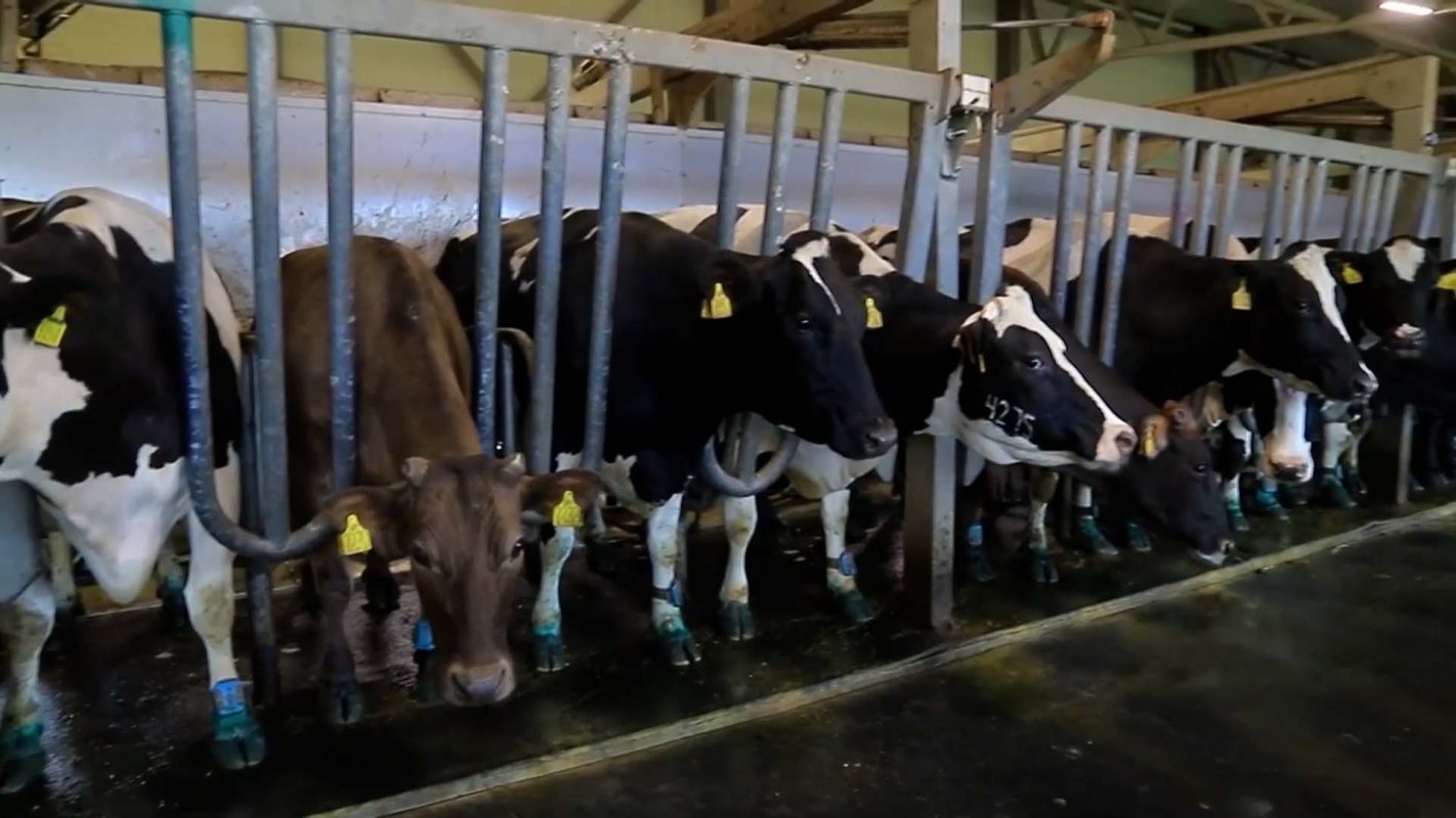 Поддержат тех, кто работает качественно