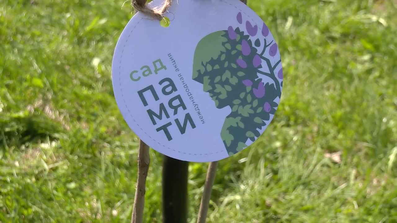 &laquo;Сад памяти&raquo; в &laquo;Парке Победы&raquo; украсили сирени
