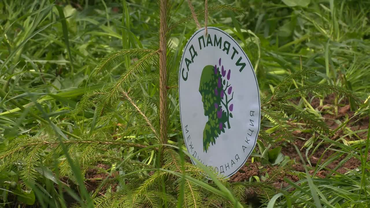 &laquo;Сад памяти&raquo;