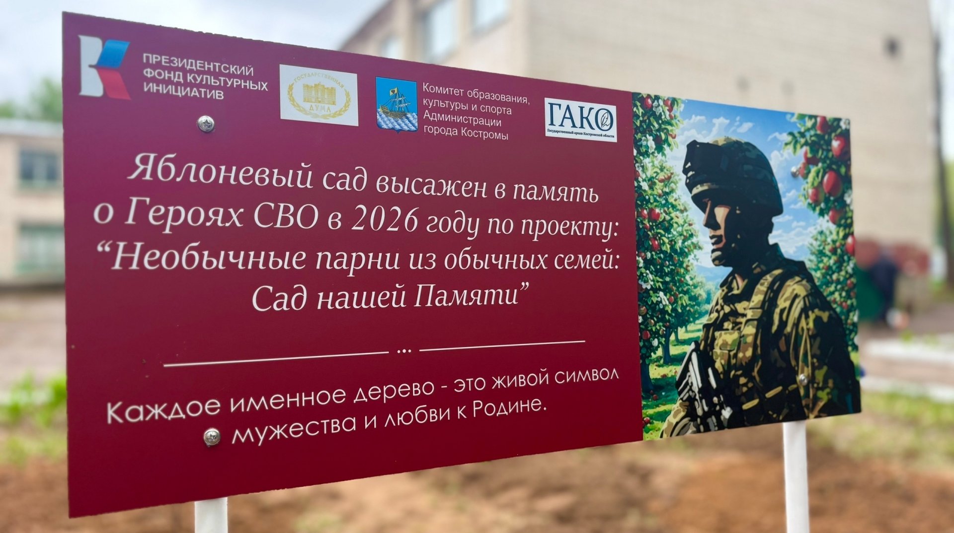 В муниципальных образованиях Костромской области закладываются яблоневые сады в память о погибших героях СВО