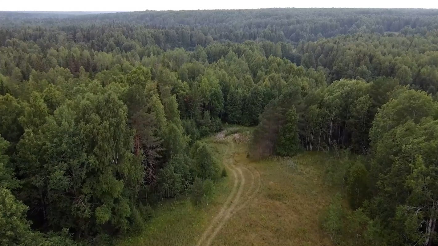 В рамках Нацпроекта &laquo;Экологическое благополучие&raquo;