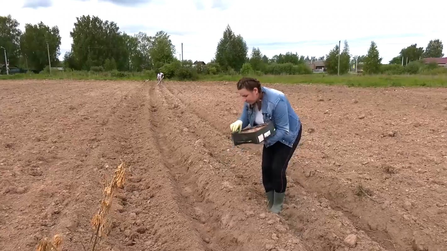 Пополнят запасы на зиму
