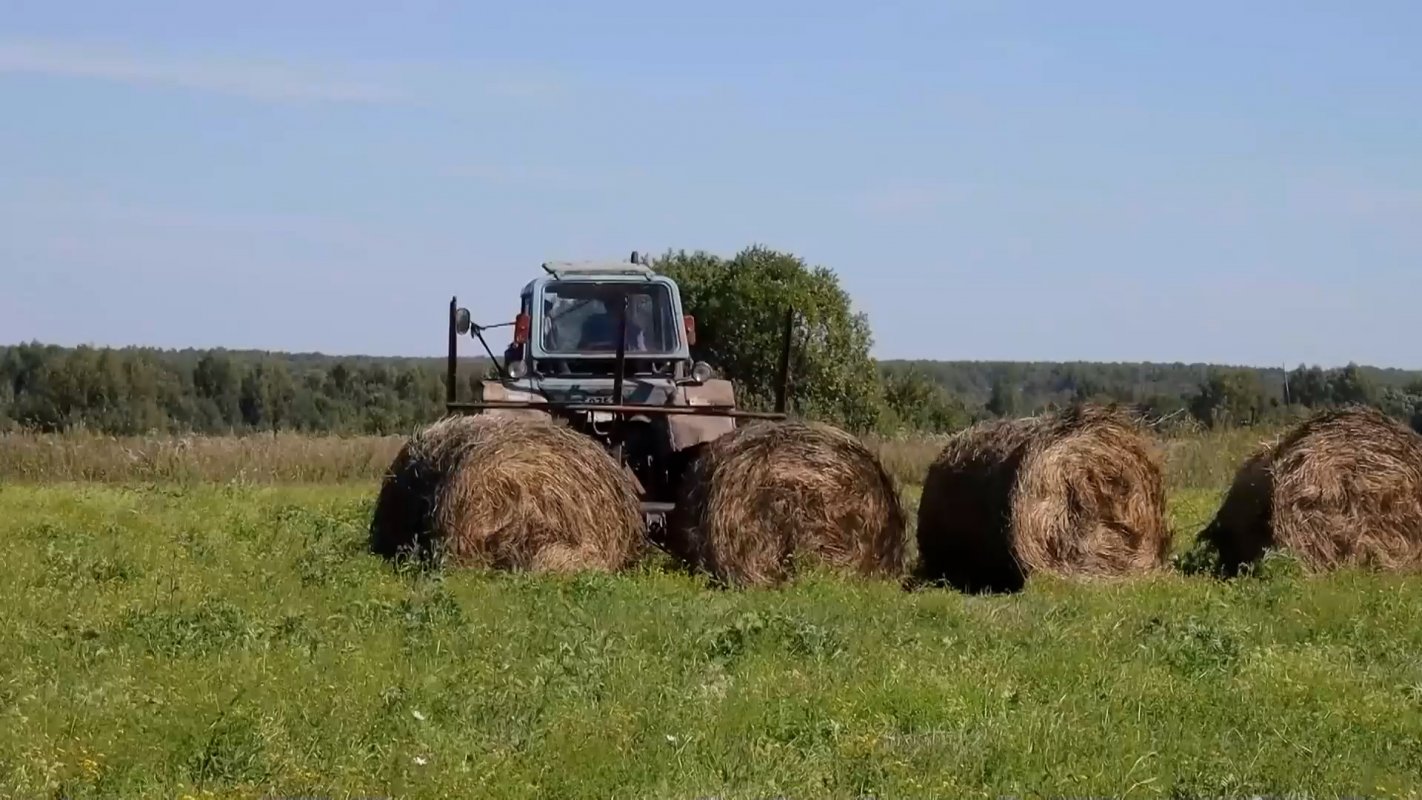 Приступили к заготовке кормов