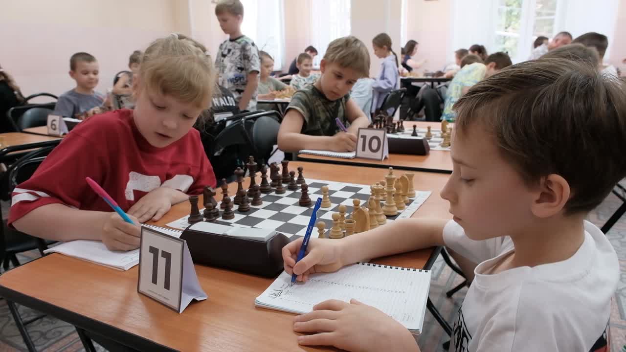 Они готовы поставить шах и мат