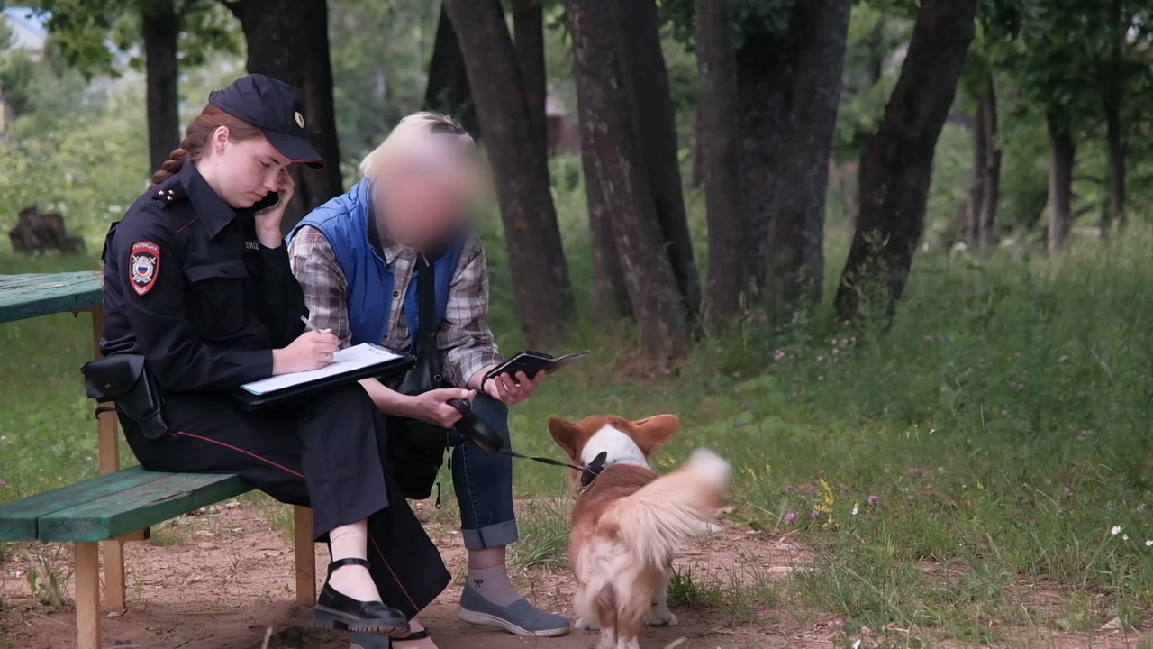 В поле зрения &ndash; владельцы собак