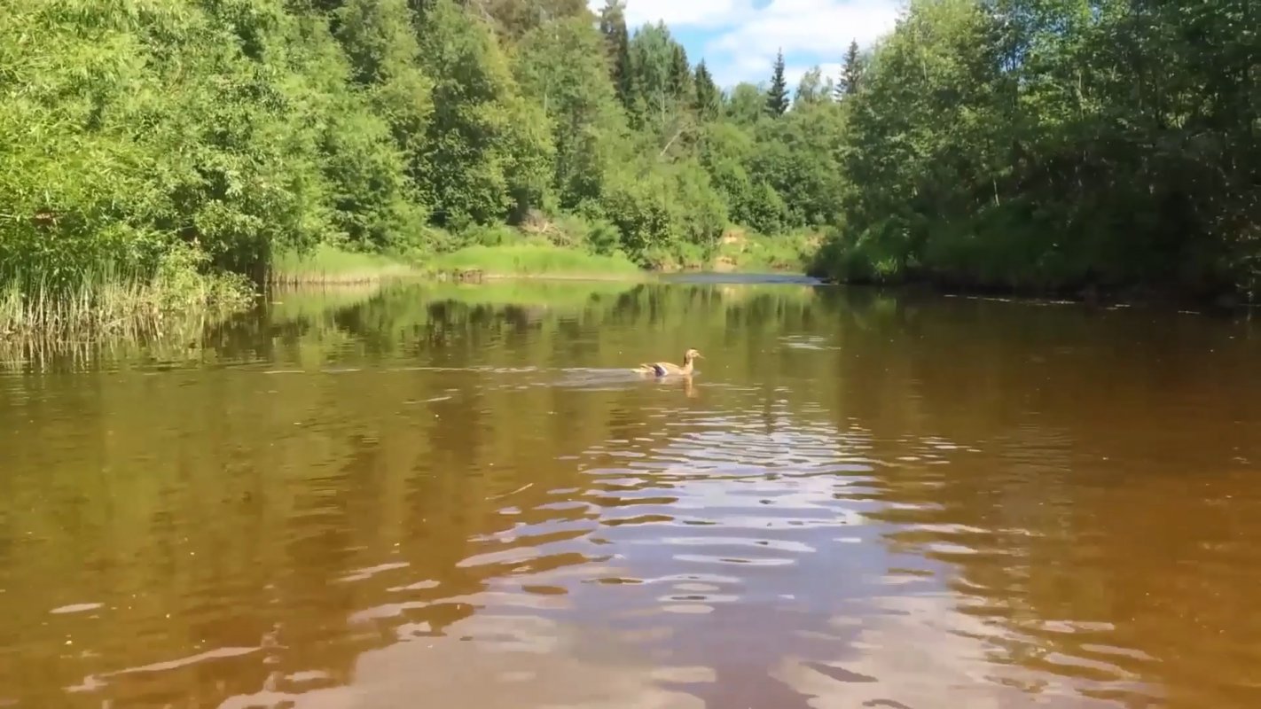 Следующий этап