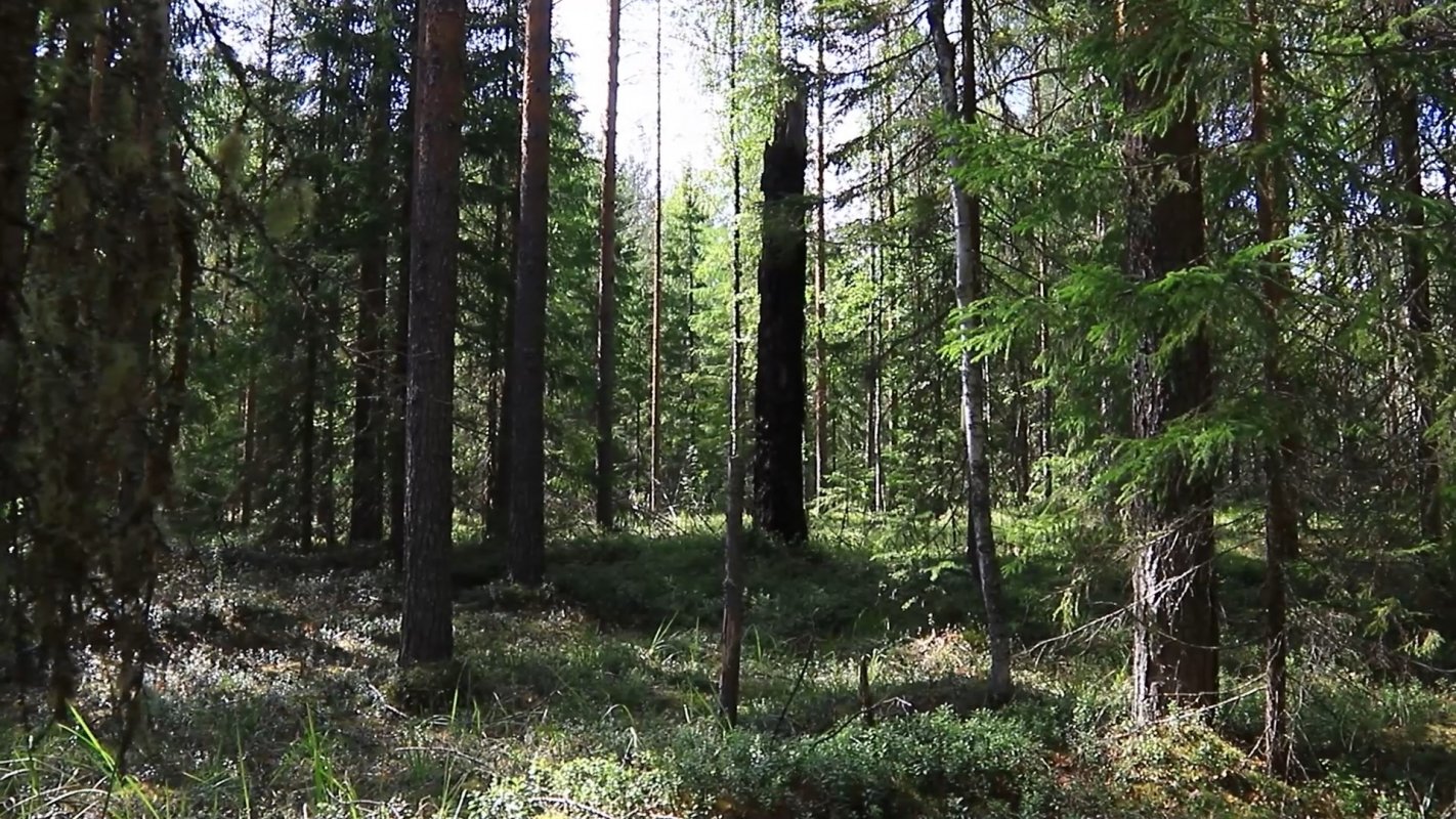 В десятке лучших