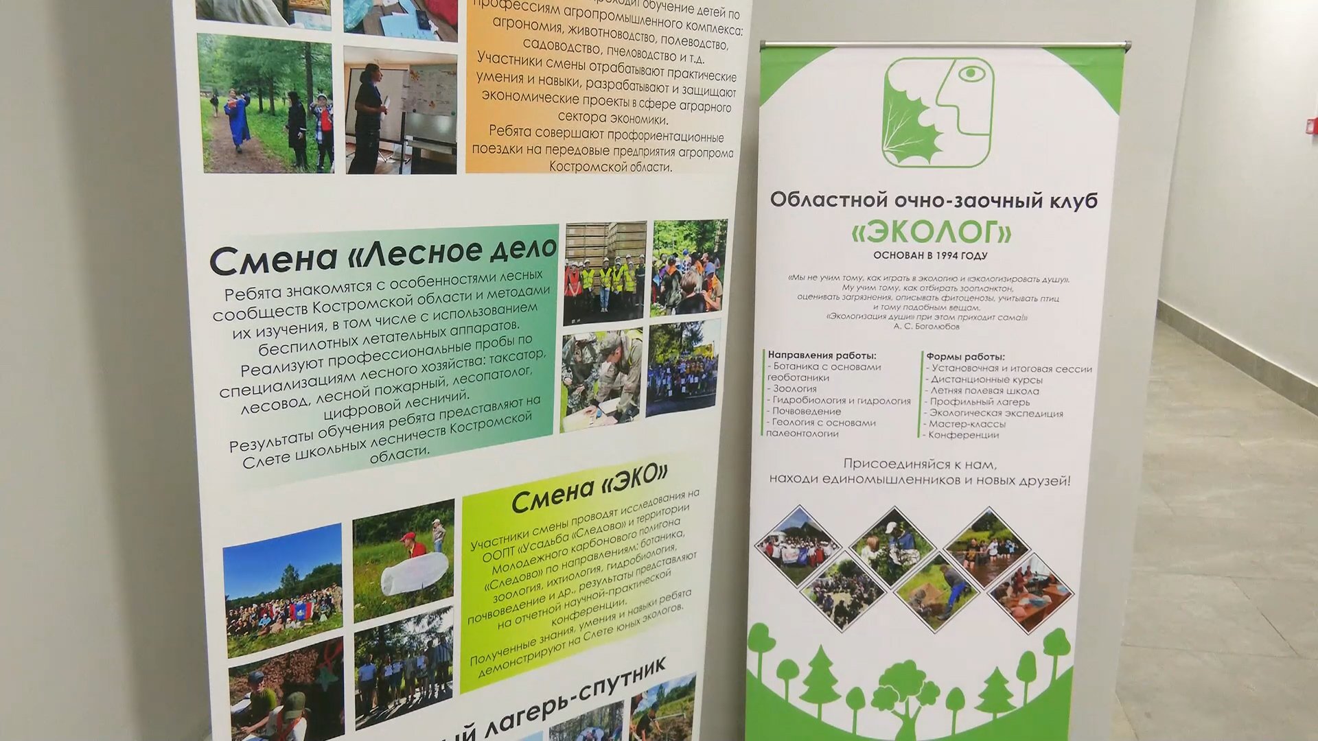 Юные экологи Костромы – в числе лучших в стране