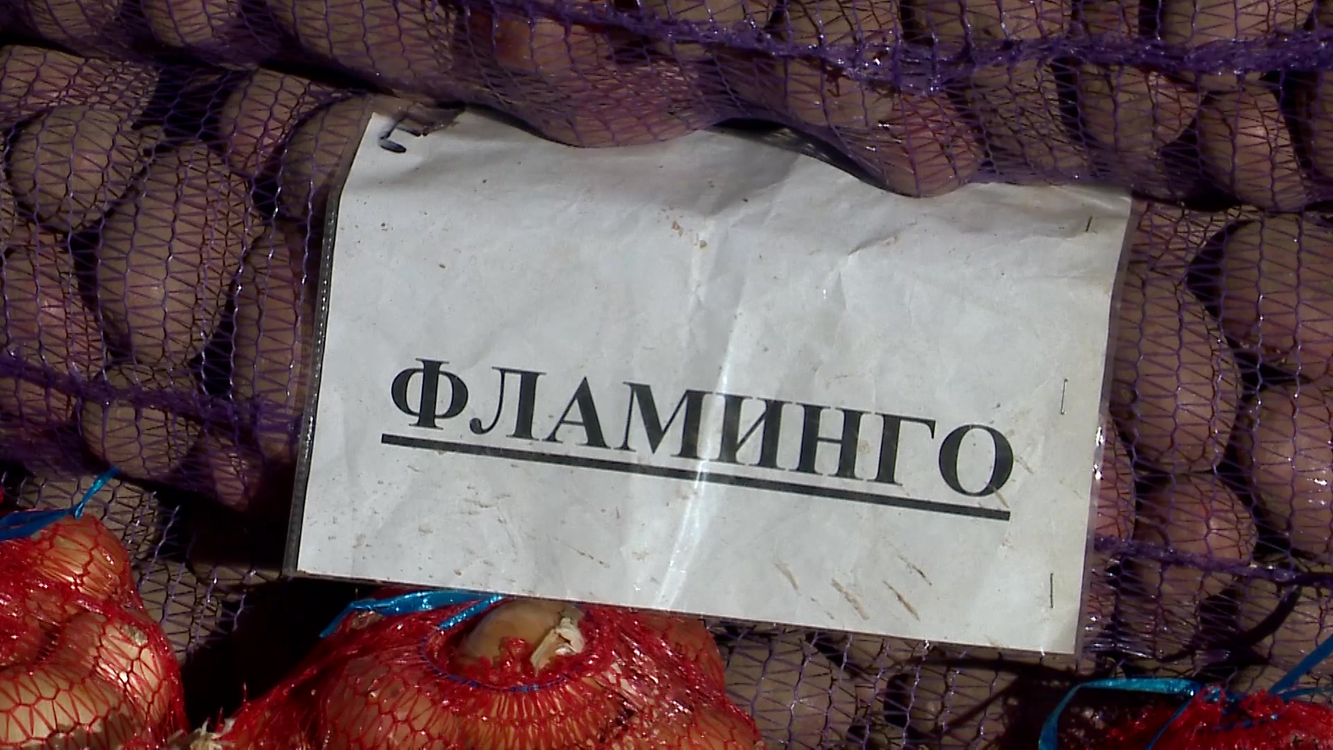 «С поля» прямо на прилавок