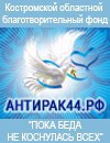 В Костроме сегодня День добрых дел
