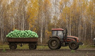 В Костромской области завершилась уборочная