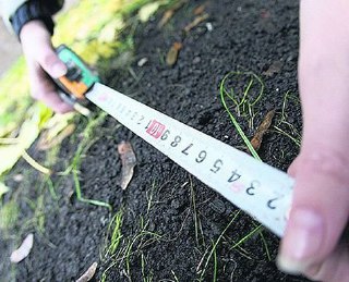 В Костромской области посчитали выделенные участки для многодетных семей