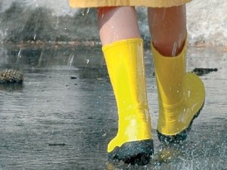 В Костромской области синоптики обещают грозы и град