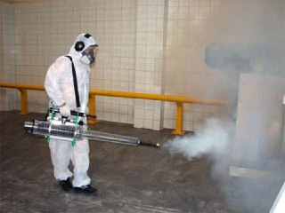 1 октября в Костроме стартует месячник дератизации