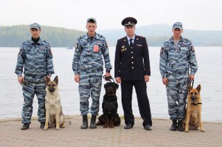 Костромские кинологи привезли награды с всероссийского чемпионата