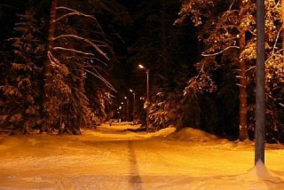 В Макарьевском парке отдыха оборудуют лыжную трассу с освещением